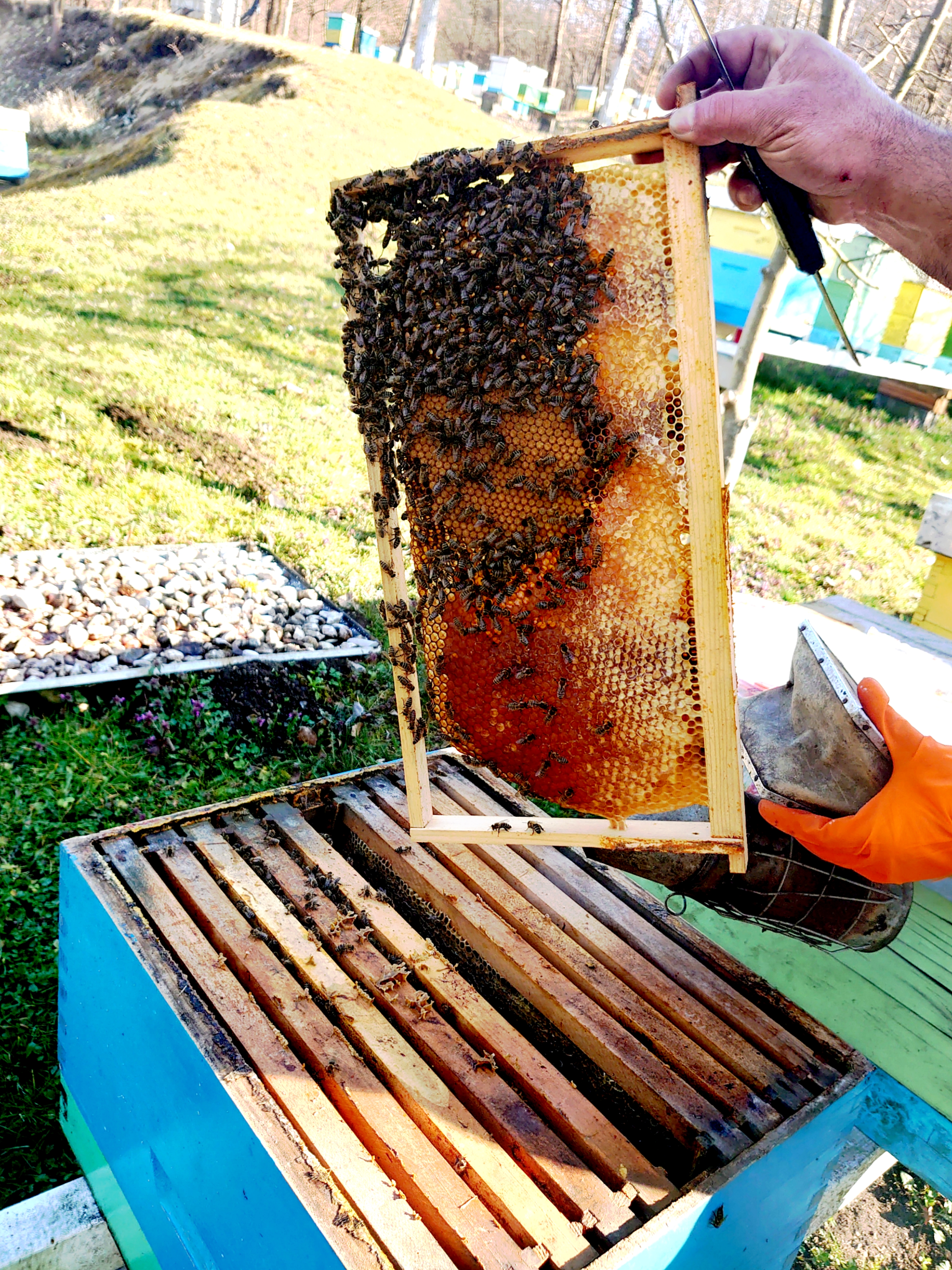 Eco honey